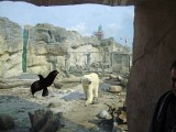 zoo-03