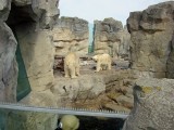 zoo-04