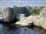zoo-06
