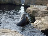 zoo-07