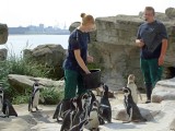 zoo-08