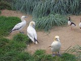 zoo-12