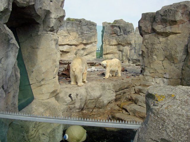 zoo-04