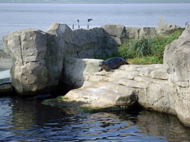 zoo-06