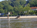 elbe-04