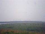 ewk-16