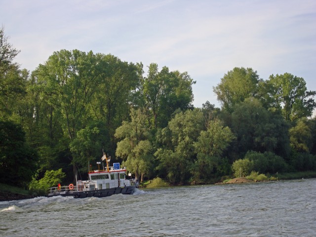 goar-02