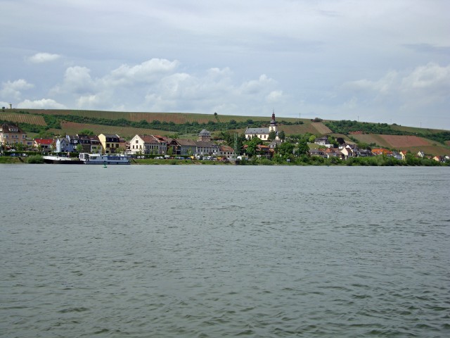 goar-04