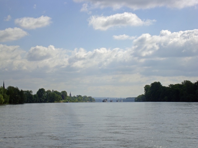 goar-18