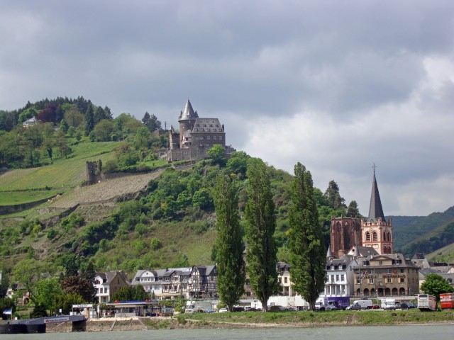 goar-24