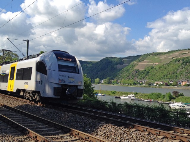 goar-30