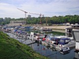 goar-06