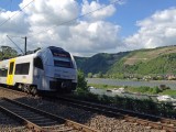 goar-30