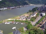 goar-31