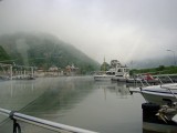 goar-33