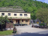 goar-36