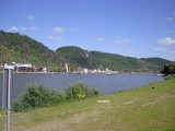goar-42