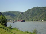 goar-43