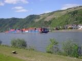 goar-44